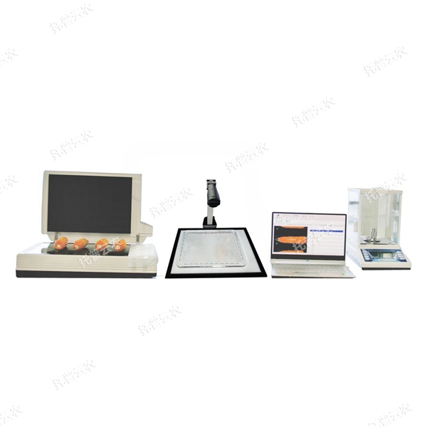 自動種子考種分析及千粒重儀